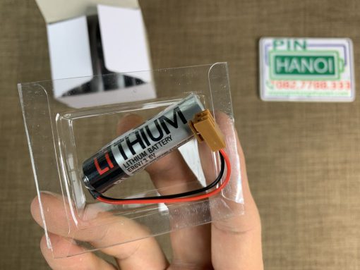 Pin nuôi nguồn IAI AB-5 Battery 3.6V Lithium jack cắm nâu