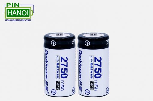 Vỉ 02 pin sạc cỡ trung Doublepow C 2750mah