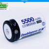 Bộ 02 pin sạc cỡ đại Doublepow D 5500mah