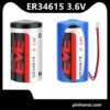 Pin Nuôi Nguồn EVE ER34615 3.6V Size D – Pin Thiết Bị Công Nghiệp