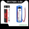 Pin Nuôi Nguồn PLC EVE ER17505 3.6V Lithium