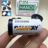 Pin Lithium Ramway ER26500 3.6V Li-SOCl2 size C chính hãng