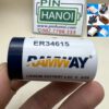 Pin Lithium Ramway ER34615 3.6V Li-SOCl2 size D dung lượng cao