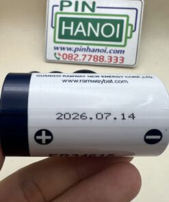 Alternative view of Pin Lithium Ramway ER34615 3.6V Li-SOCl2 size D dung lượng cao