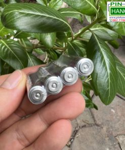 Alternative view of Bộ 4 Viên Pin Đũa Eveready Heavy Duty 1012 SW4 AAA 1.5V Màu Đỏ