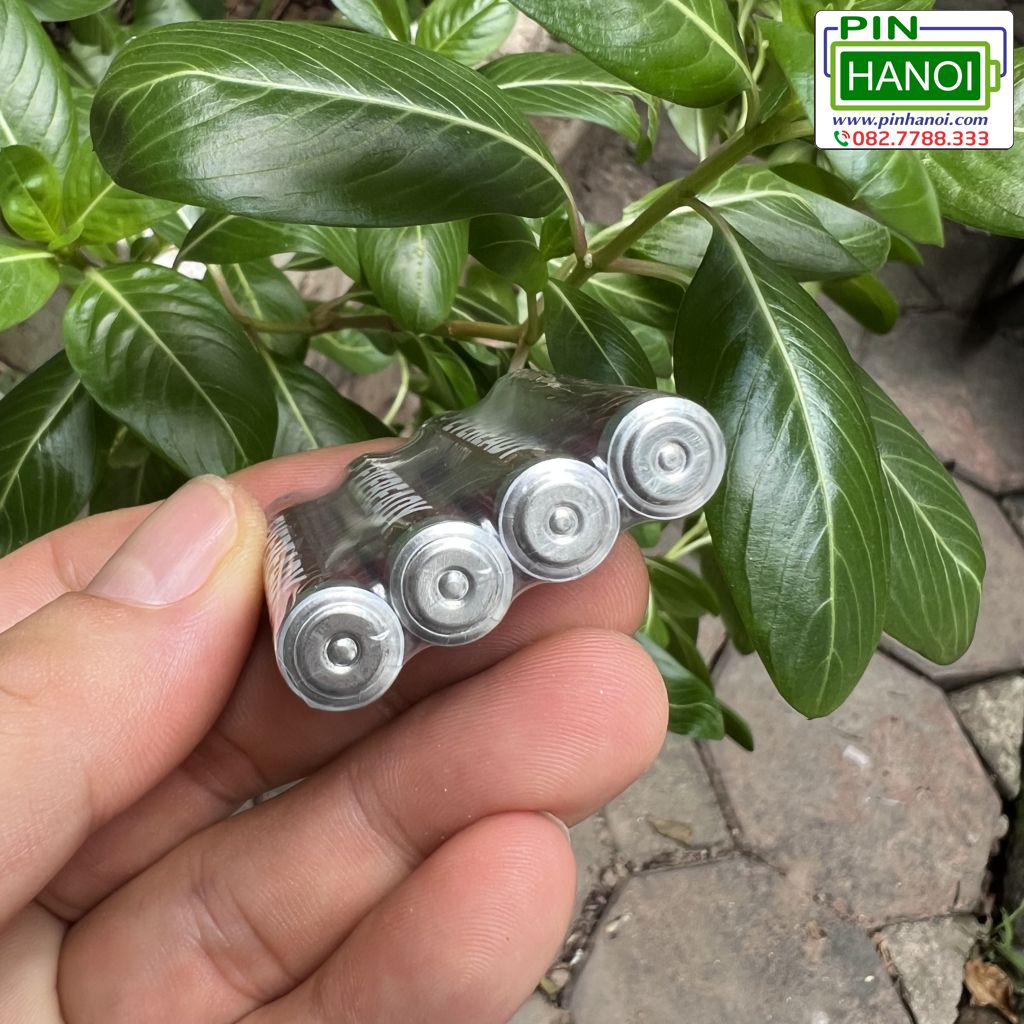 Bộ 4 Viên Pin Đũa Eveready Heavy Duty 1012 SW4 AAA 1.5V Màu Đỏ - Ảnh 2